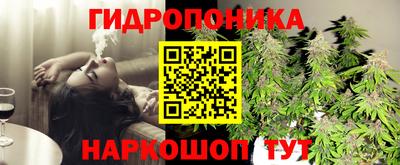 тгк Пугачёв